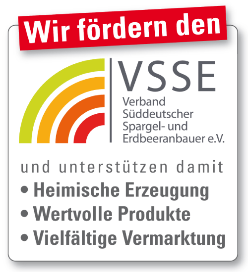 VSSE